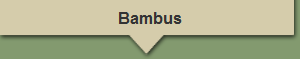 Bambus