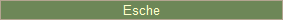 Esche